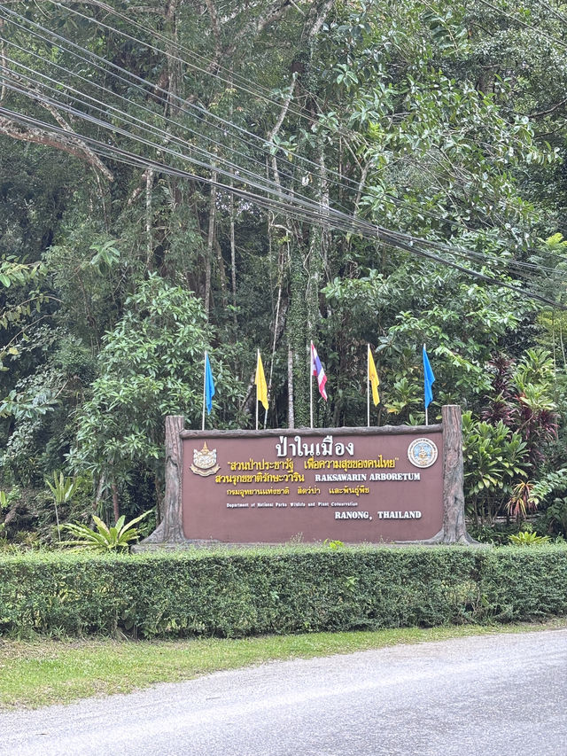 ป่าในเมือง 