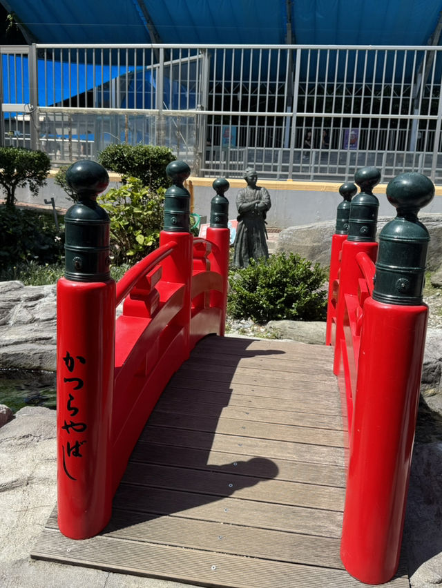 高知旅行！