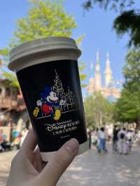 Disneyland Shanghai — Castle Views & Tasty Bites 🏰✨