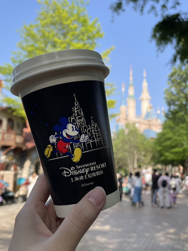 Disneyland Shanghai — Castle Views & Tasty Bites 🏰✨