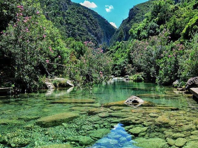 🌊💚 Lost in the beauty of Akchour Waterfalls, Morocco🇲🇦 🌿✨