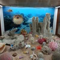 Small but great museum with lots to see including fossils, rocks and gemstones. There are some free activity sheets and a room with books, colouring sheets and puzzles