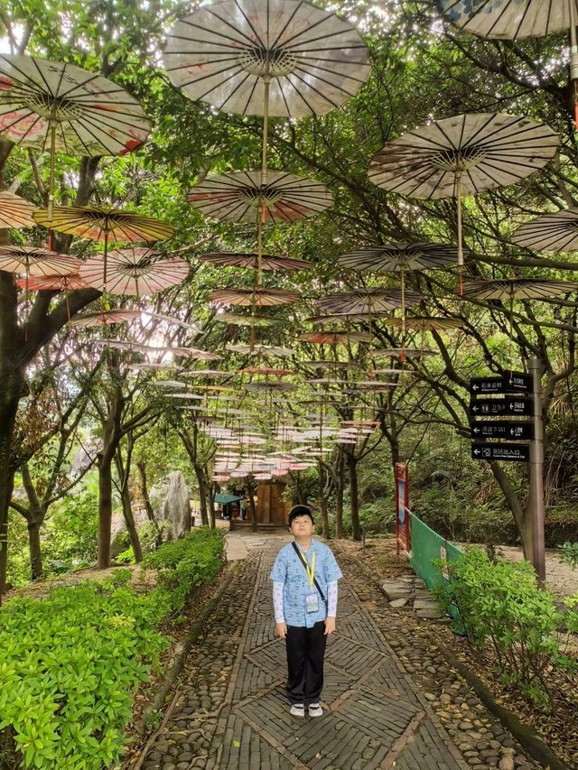 廣西賀州玉石林奇景如入水墨畫🎨