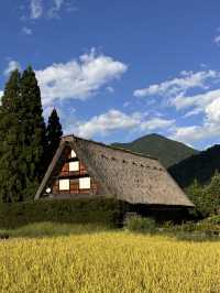 夏末白川鄉不一樣的風景