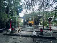 仙台・亀岡八幡宮｜石鳥居と長い石段が語る歴史と自然のパワースポット