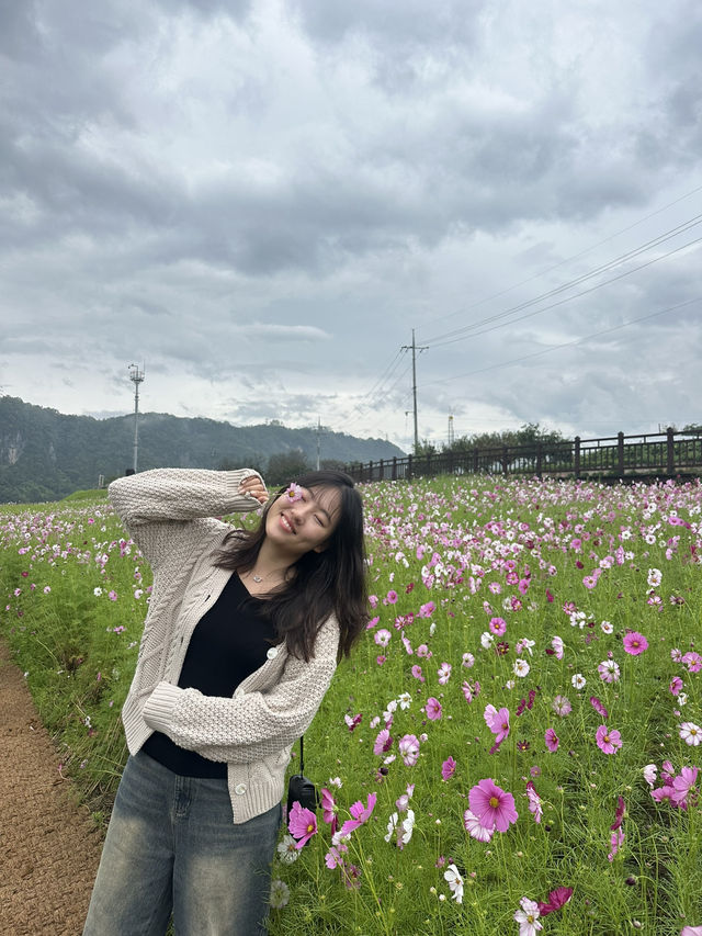 📍 단양 감성여행 코스