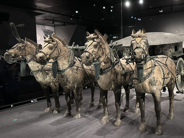 全世界人都想看的兵馬俑