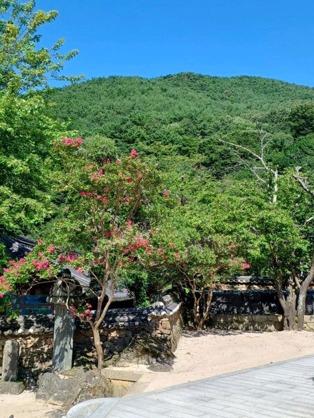 자연의 품속에서 고요히, 화엄사