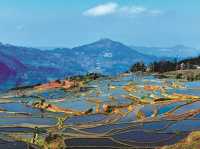 🌾🏔️ Yuanyang Hani Terraces — A Living Symphony of Earth, Water, and Humanity