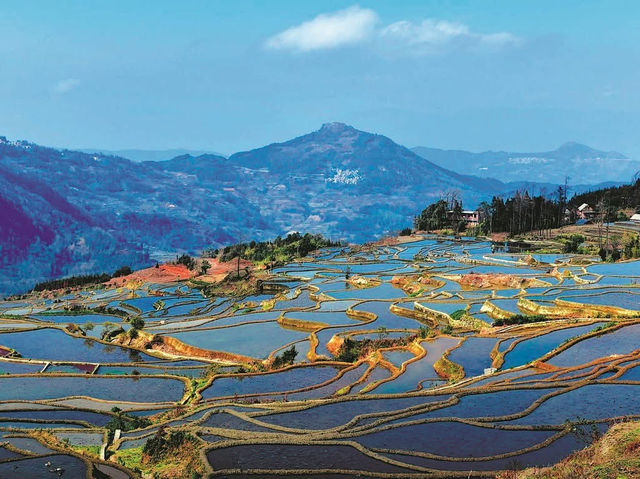 🌾🏔️ Yuanyang Hani Terraces — A Living Symphony of Earth, Water, and Humanity