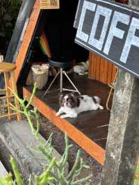 Muggle slow bar คาเฟ่ลับๆในสวน ที่แปดริ้ว