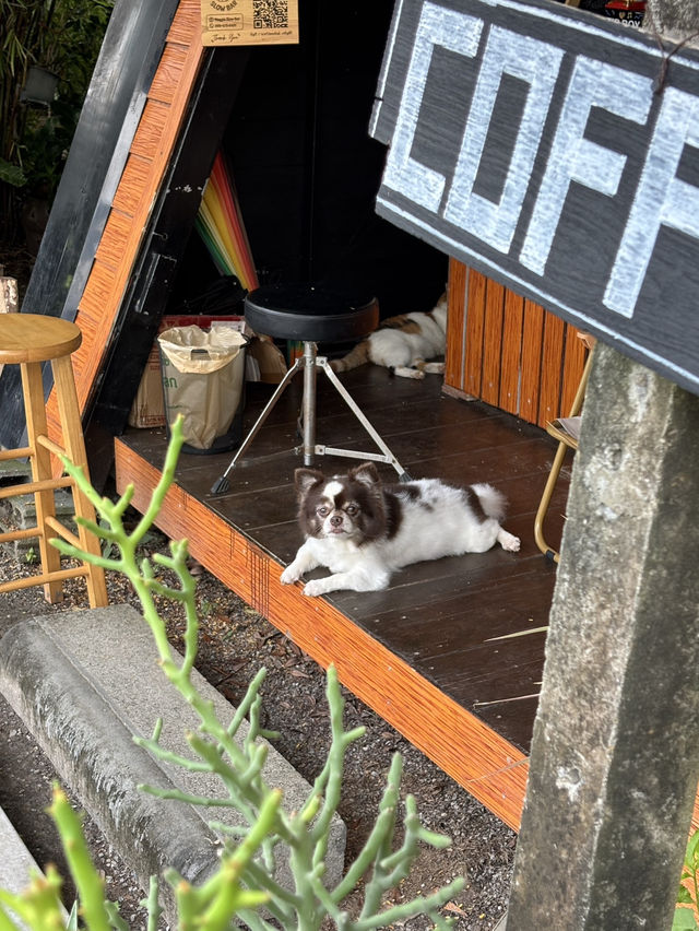 Muggle slow bar คาเฟ่ลับๆในสวน ที่แปดริ้ว
