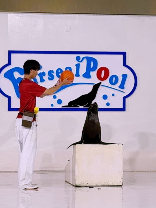 🐧【登別尼克斯海洋公園】親子必去!企鵝巡遊+沙丁魚風暴+童話城堡水族館 🐧【登別尼克斯海洋公園】親子必去!企鵝巡遊+沙丁魚風暴+童話城堡水族館