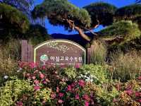 Garden of Morning Calm