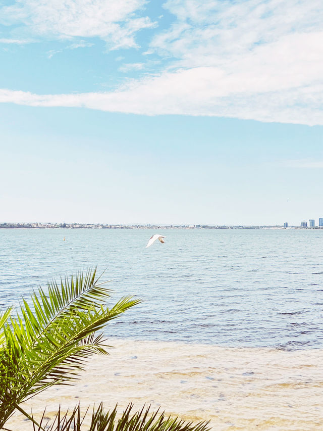 🇦🇺🌊 Perth's Blue Boat House + Kings Park: The Ultimate Instagram Trail! 📸 