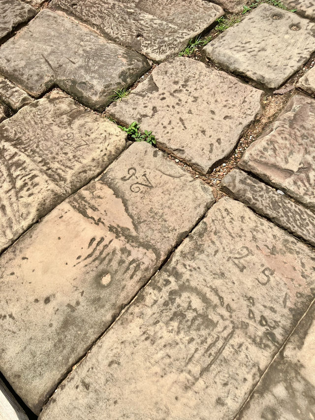 象のテラスinアンコールワット遺跡群🇰🇭