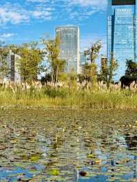 City Walk in the Park