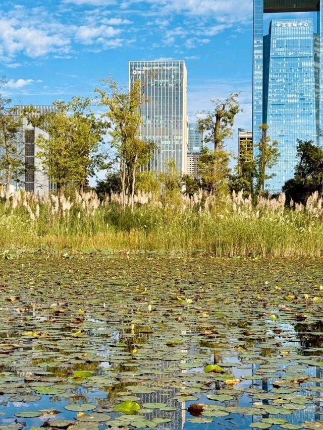 City Walk in the Park