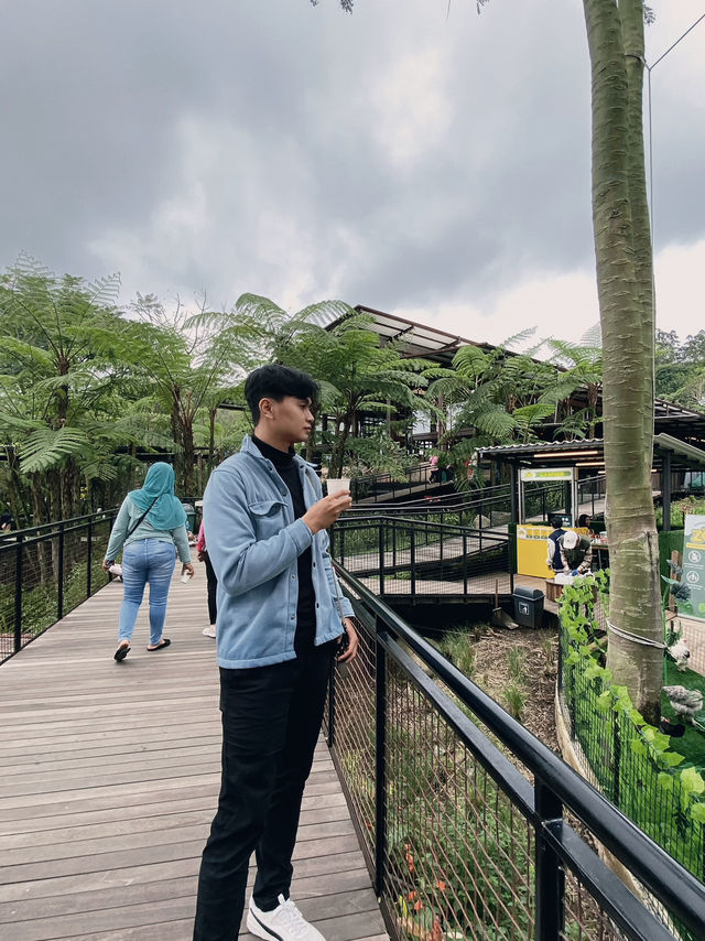 Dusun Bambu - Lembang 