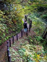 🌾 หุบเขานารุโกะ (Naruko Gorge, 鳴子峡)