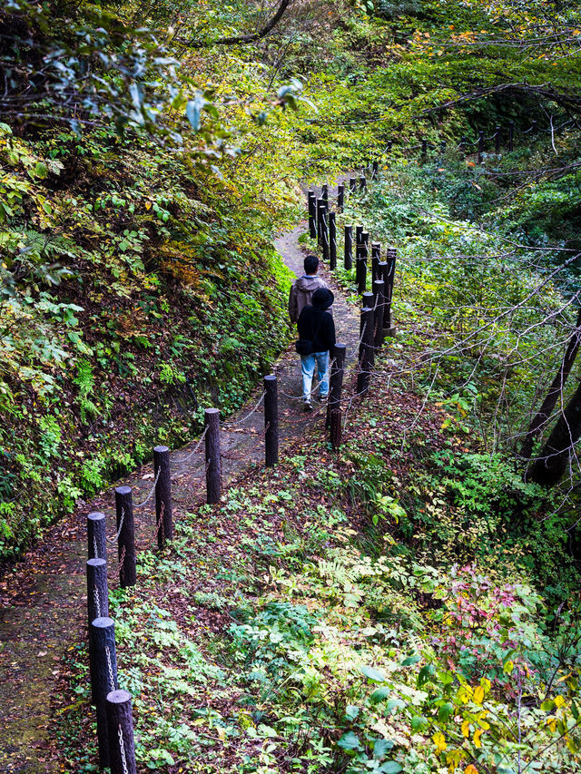 🌾 หุบเขานารุโกะ (Naruko Gorge, 鳴子峡)