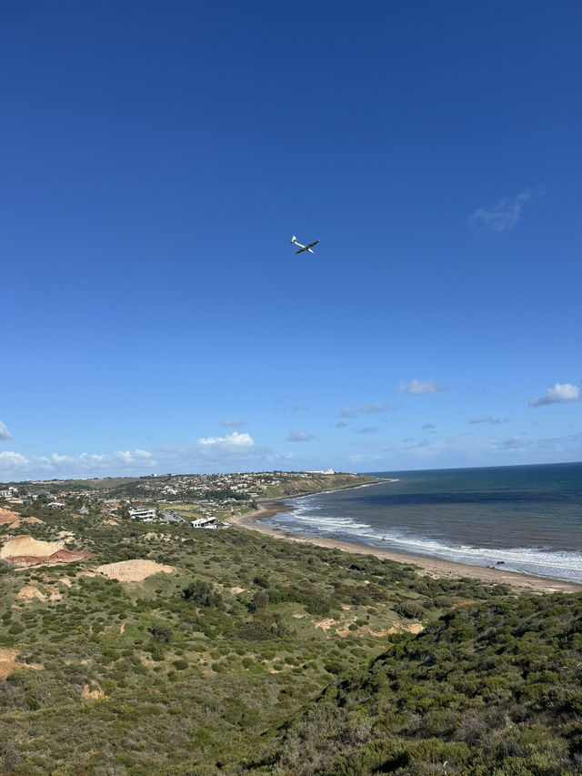 【オーストラリア・南オーストラリア】海と地質の不思議を体感「Hallett Cove Boardwalk」🌊🪨