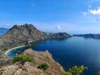 Komodo Wonders🌿 One Day Trip