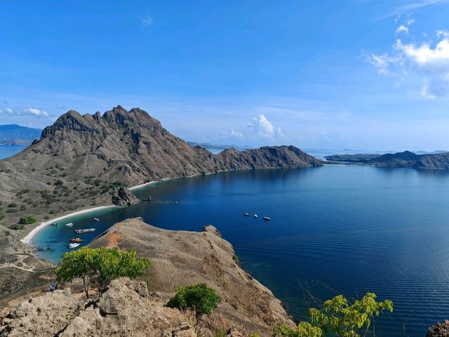 Komodo Wonders🌿 One Day Trip