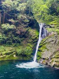 猛暑の中🫠涼を求めるならここ行って✨一日中自然を満喫できる滝のテーマパーク😉