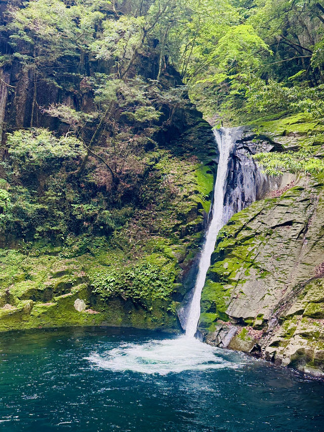 猛暑の中🫠涼を求めるならここ行って✨一日中自然を満喫できる滝のテーマパーク😉 猛暑の中🫠涼を求めるならここ行って✨一日中自然を満喫できる滝のテーマパーク😉