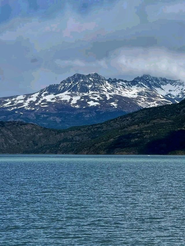 🏞️🦋 Patagonia National Park – Where Wilderness Breathes Freely 🏞️🦋 Patagonia National Park – Where Wilderness Breathes Freely