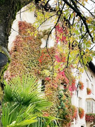 布雷薩諾內大教堂