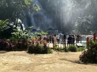 Lost in Kuang Si Paradise 💦🌿