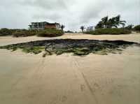 Isla Isabela Discover Untamed Beauty