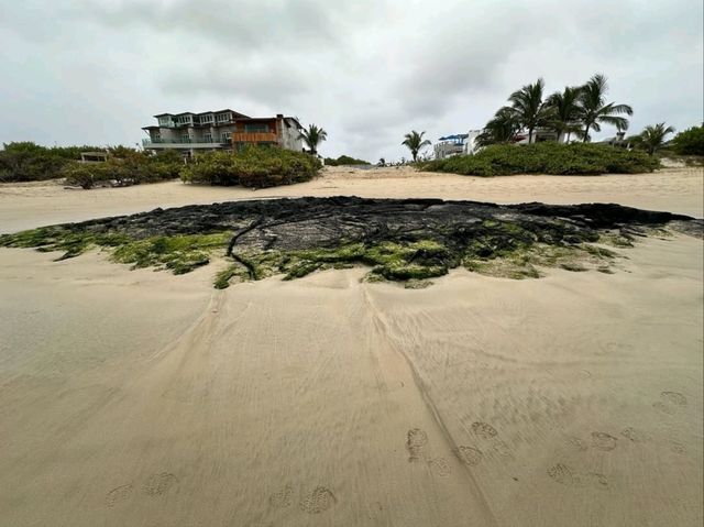 Isla Isabela Discover Untamed Beauty Isla Isabela Discover Untamed Beauty