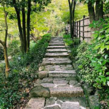 The Solo Daimyo's Stroll: Tokugawa-en Garden