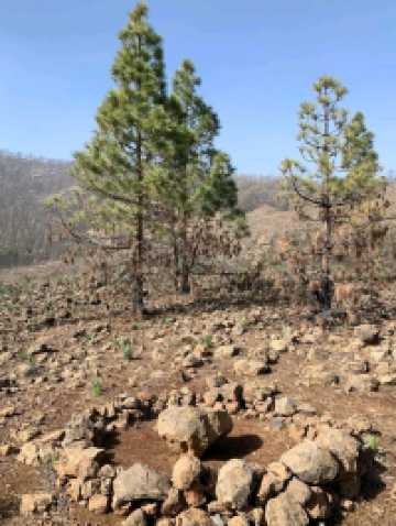 A Quiet Slice of Authentic Canary Island Life
