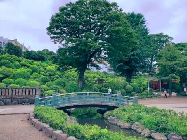 🌸 Nezu Shrine – A Serene Escape in Tokyo’s Old Neighborhood