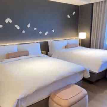 ウェルスプリング バイ シルクス 北投のおすすめガイド2026年（1月更新