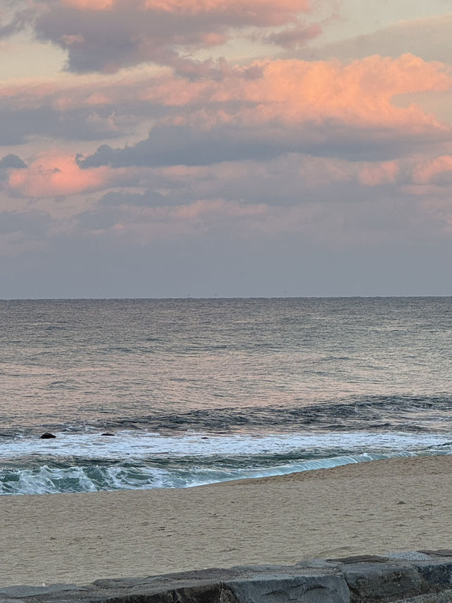 겨울 강릉 여행 🫧