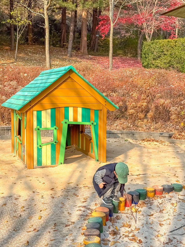 충청도 가을여행지 청주 미동산수목원 실시간✨ 충청도 가을여행지 청주 미동산수목원 실시간✨