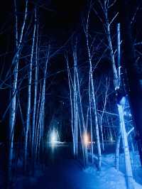 冬季限定 白金青池 芽登溫泉