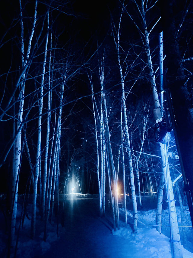 冬季限定 白金青池 芽登溫泉