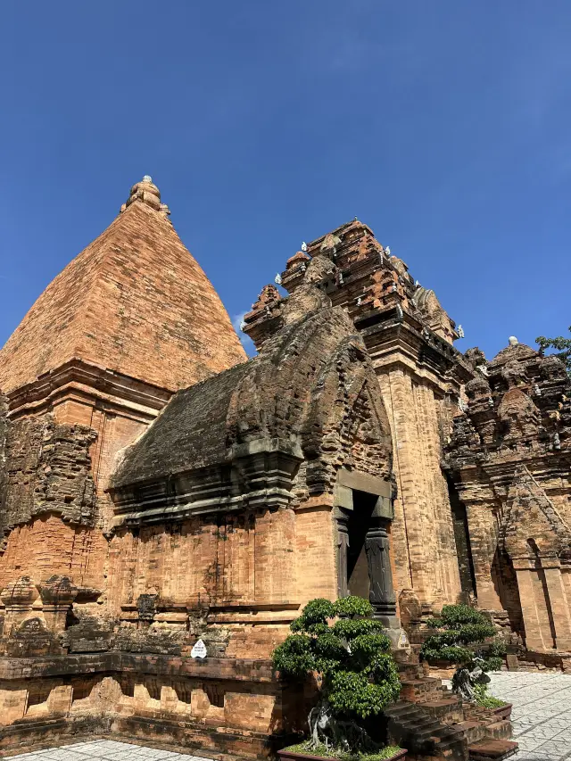 Vietnam Nha Trang & Dalat Trip: 3 Nights and 5 Days