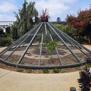 The Huntington Library, Art Museum, and Botanical Gardens