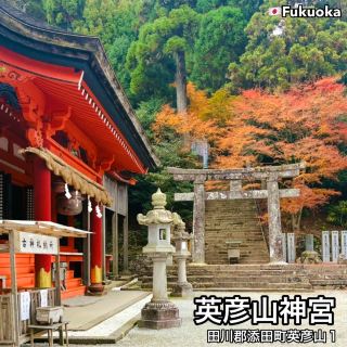  【福岡県】福岡県の紅葉スポット🍁 英彦山神宮に行きました