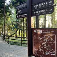  Zhangjiajie East Gate — A One-Day Journey Through Peaks, Clouds & Surprises