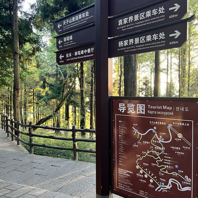  Zhangjiajie East Gate — A One-Day Journey Through Peaks, Clouds & Surprises