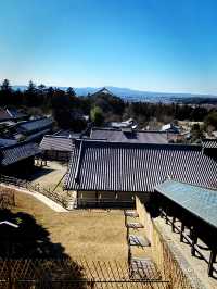 金色草原上的奈良若草山之夢 🌾🌅