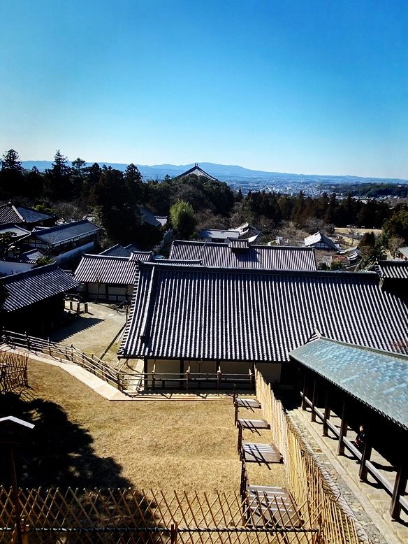 金色草原上的奈良若草山之夢 🌾🌅